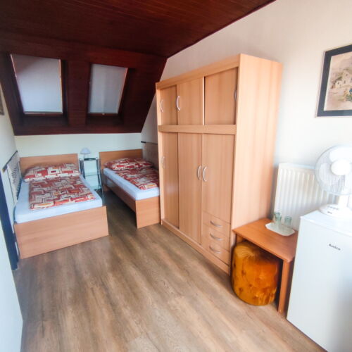 Camera twin cu baie cu aer condiționat (se poate solicita pat suplimentar)