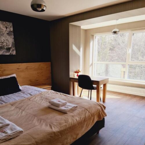 Apartament 2-osobowy z 1 pomieszczeniem sypialnianym (możliwa dostawka)