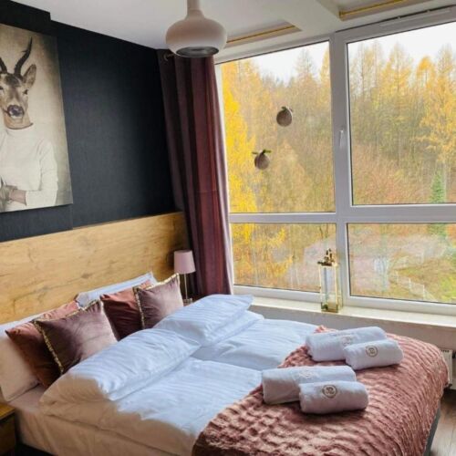 Apartament 2-osobowy z 1 pomieszczeniem sypialnianym (możliwa dostawka)