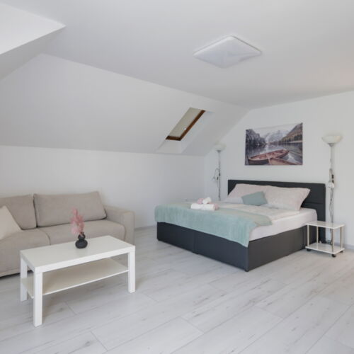 Apartament deluxe family cu 1 camera pentru 4 pers.