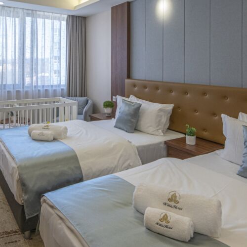 Deluxe Twin Room (extra bed available)