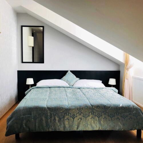 Camera twin economy cu vedere spre parc