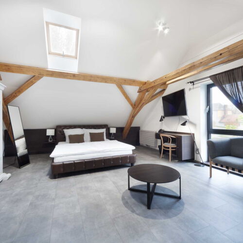 Camera dubla deluxe cu aer condiționat (se poate solicita pat suplimentar)