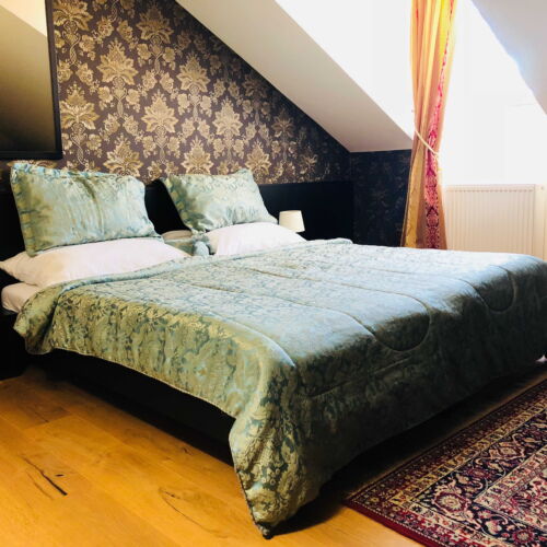 Camera twin classic cu duș (se poate solicita pat suplimentar)