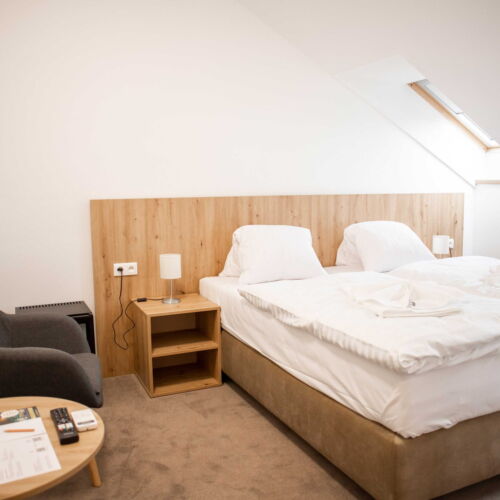 Camera twin standard cu aer condiționat