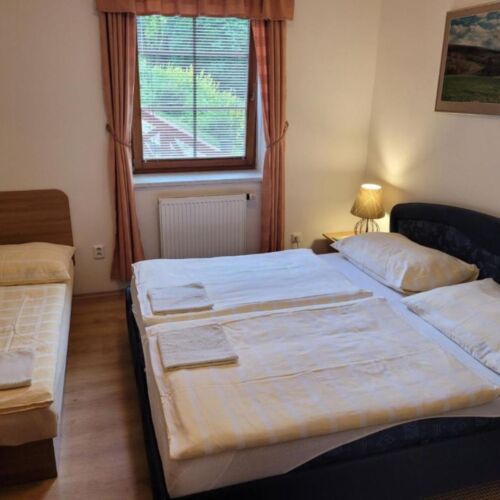 2-Room Apartment for 5 Persons with Shower and Kitchenette