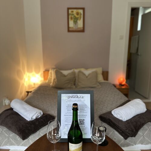 Garden View Ground Floor Double Room
