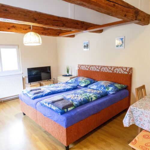 Pokoj se sprchou se společnou kuchyňkou pro 4 os.