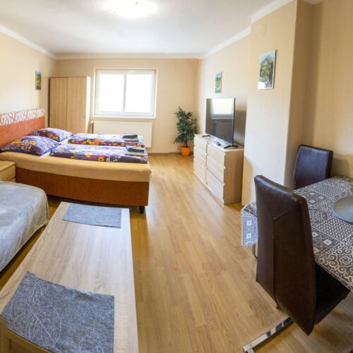 Pokoj se sprchou se společnou kuchyňkou pro 4 os. (s možností přistýlky)