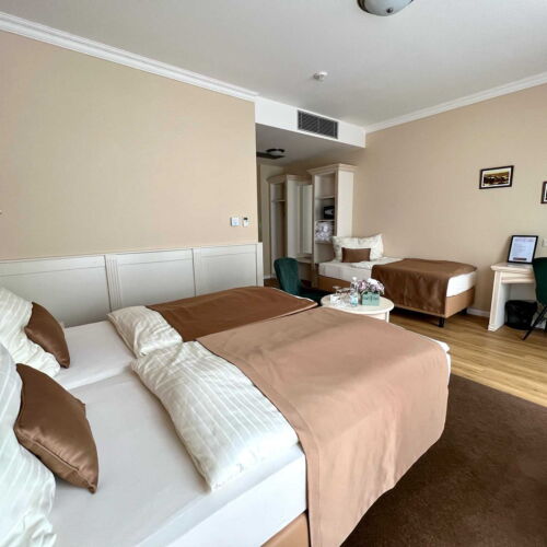 Superior Pokoj se sprchou pro 2 os. (s možností přistýlky)