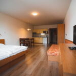 Triple Room with Shower and Kitchenette (extra bed available)