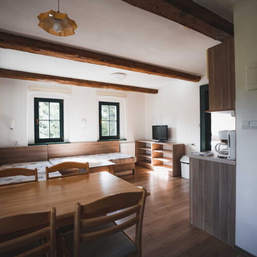 Pokoj se sprchou s vlastní kuchyňkou pro 4 os. (s možností přistýlky)