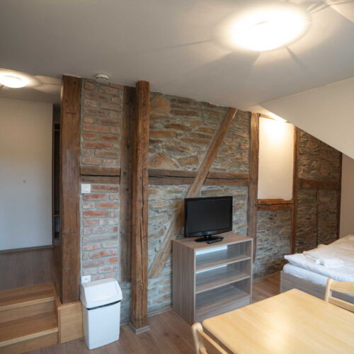 Pokoj se sprchou s vlastní kuchyňkou pro 2 os.