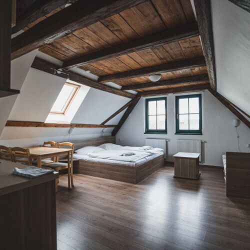 Pokoj se sprchou s vlastní kuchyňkou pro 3 os. (s možností přistýlky)