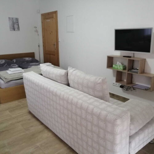Apartament studio cu duș cu 1 camera pentru 2 pers. (se poate solicita pat suplimentar)
