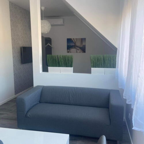 Apartament studio cu 1 camera pentru 2 pers.