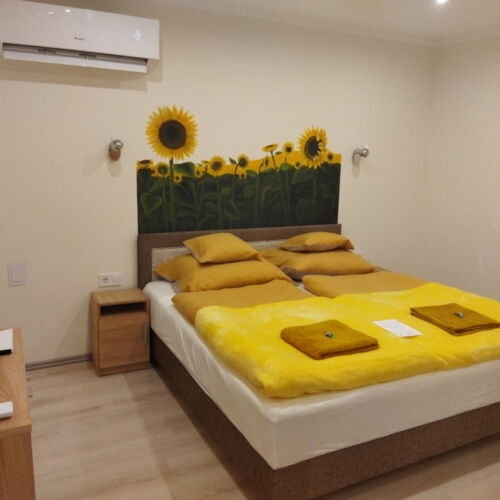 Apartament deluxe design cu 1 camera pentru 2 pers. (se poate solicita pat suplimentar)