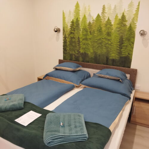 Apartament deluxe trip cu 1 camera pentru 2 pers.