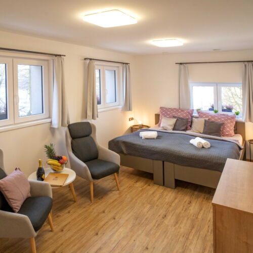 Standard Pokoj se sprchou s manželskou postelí