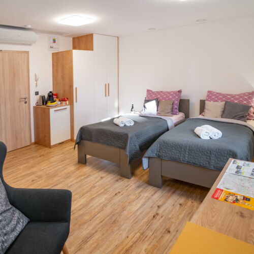 Standard Pokoj se sprchou s manželskou postelí (s možností přistýlky)