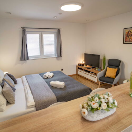 Standard Premium Apartman s manželskou postelí s 1 ložnicí