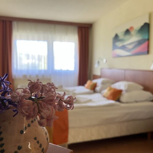 Camera dubla superior cu aer condiționat