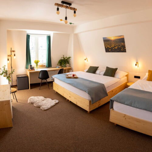 Pokoj pro 3 os. (s možností přistýlky)