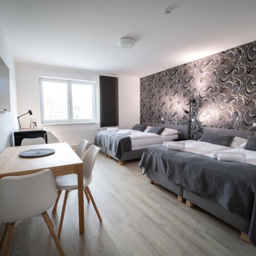 Apartament 4-osobowy z klimatyzacją z 1 pomieszczeniem sypialnianym