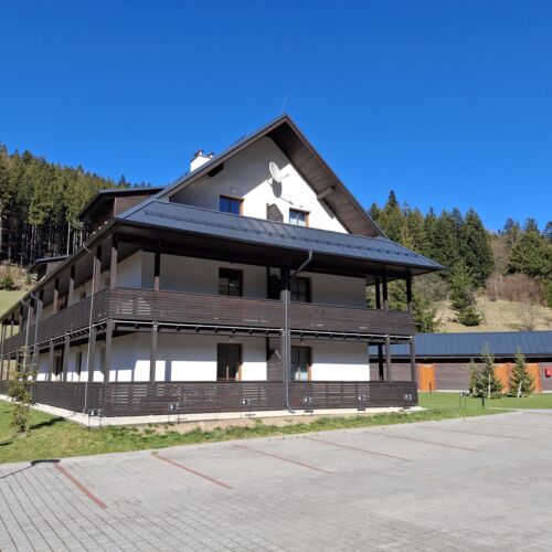 1-Room Apartment for 3 Persons with Shower and Kitchenette (extra beds available)