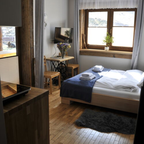 Mountain View Executive 1-Room Apartment for 2 Persons