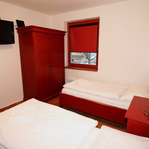 Camera twin cu duș (se poate solicita pat suplimentar)