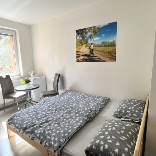 Camera twin confort cu duș