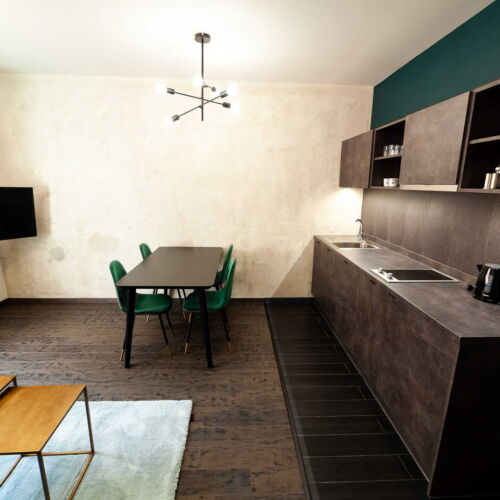 1-Room Apartment for 2 Persons with Shower and Kitchenette (extra beds available)