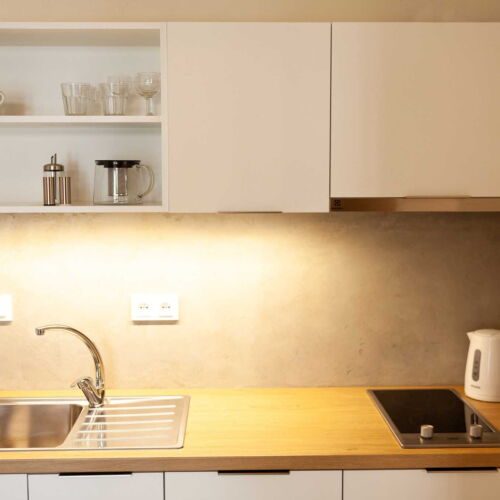 1-Room Apartment for 2 Persons with Shower and Kitchenette (extra bed available)