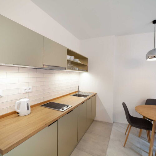 1-Room Apartment for 2 Persons with Shower and Kitchenette (extra bed available)