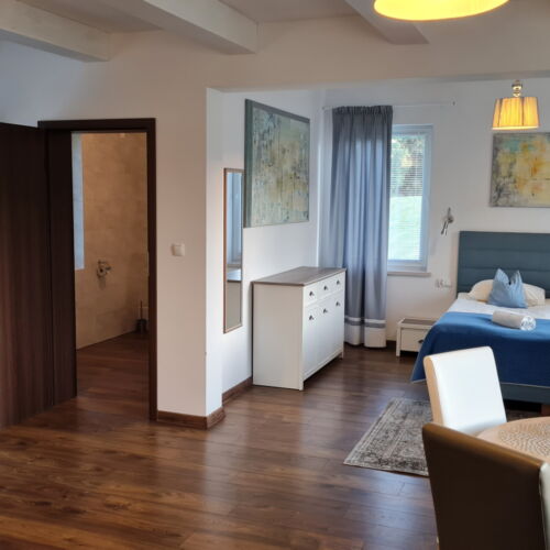 Apartament 4-osobowy na parterze Studio z 1 pomieszczeniem sypialnianym