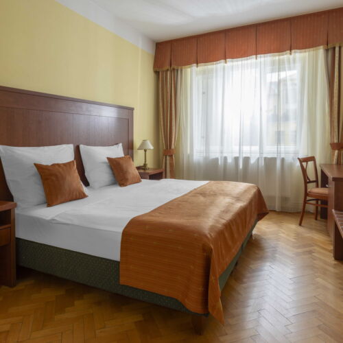 Double Room with Shower (extra beds available)