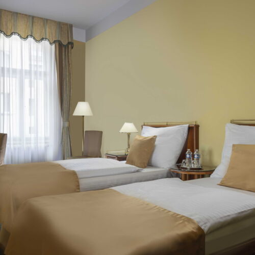 Twin Room with Shower