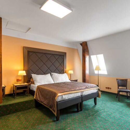 Deluxe Double Room with Shower (extra bed available)