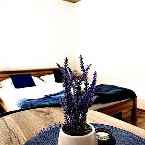 Camera dubla standard Plus