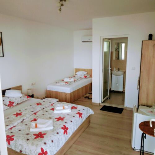 Camera tripla la etaj cu terasă