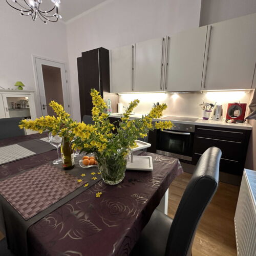 Apartman se sprchou s vlastní kuchyňkou pro 5 os. (s možností přistýlky)