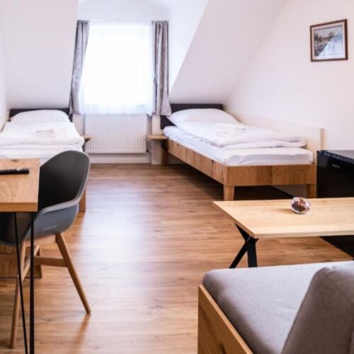 Double Room with Shower (extra beds available)