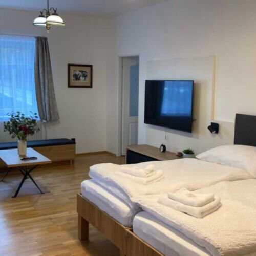 2-Room Apartment for 4 Persons with Shower and Kitchen (extra beds available)