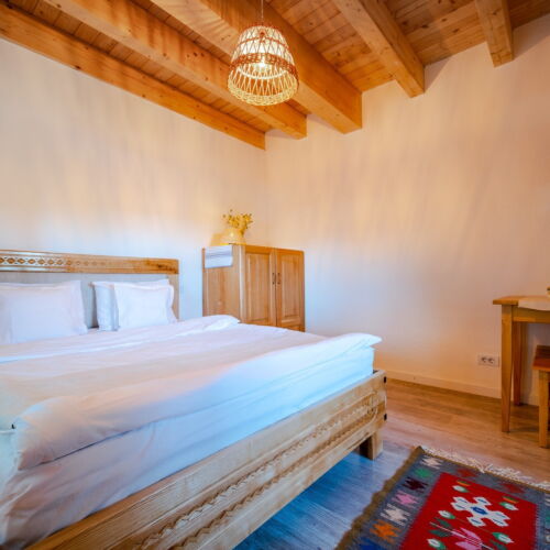 Camera dubla cu chicinetă proprie (se poate solicita pat suplimentar)