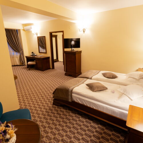 Camera twin superior (se poate solicita pat suplimentar)