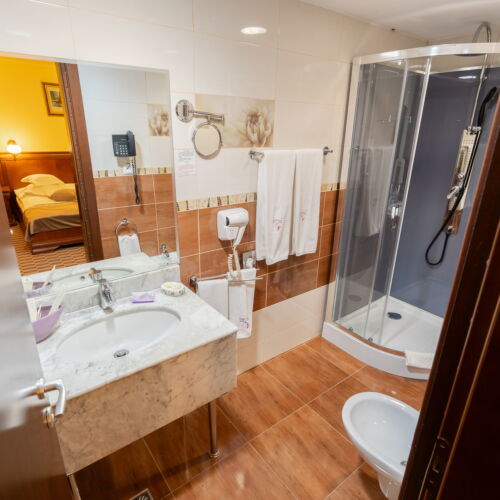 Camera dubla standard