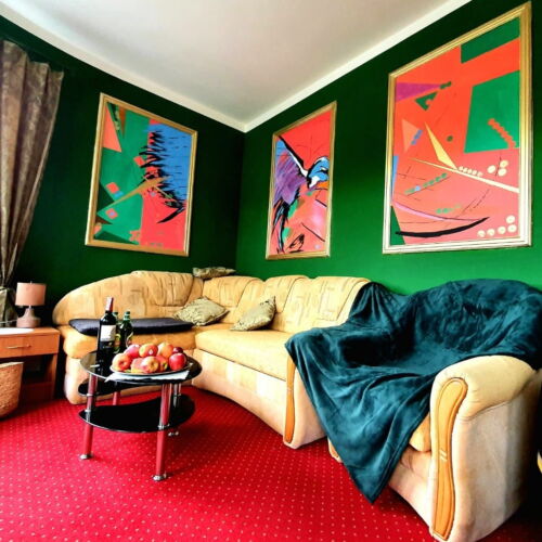 Apartament cu 1 camera pentru 2 pers.