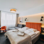 Deluxe Izba s klimatizáciou s manželskou posteľou