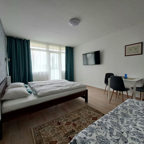 Apartament deluxe cu 1 camera pentru 3 pers.